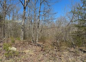 SOLD!! 11.3+/-acres wooded property.