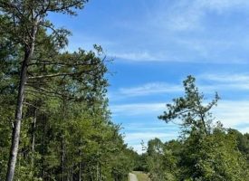 SOLD!! 6.06+/- partially wooded acres located atop of the Cumberland Plateau
