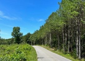 6.06+/- partially wooded acres located atop of the Cumberland Plateau
