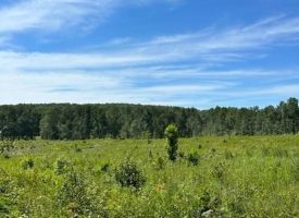SOLD!! 5.59+/-acres Partially Wooded Property located on Top of the Cumberland Plateau