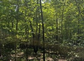 5.02+/-acres Unrestricted South Pittsburg Mtn
