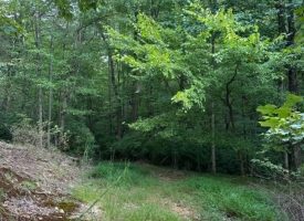SOLD!! 3.21+/-acres Beautiful Lot in Eagle Bluff Estates