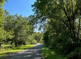 45+/-acres Unrestricted Hunt out your back door.