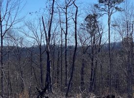 12.24+/-acres centrally located between Chattanooga and Knoxville