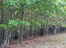 5.2+/-acres wooded property high atop the Cumberland Plateau located in the Ridges at Franklin Forest.