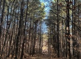 5.05+/-acres Unrestricted wooded property. Seller financing available.
