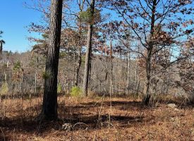 16.08+/-acres Wooded property with views.