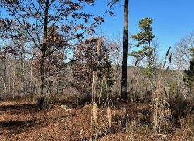 16.08+/-acres Wooded property with views.