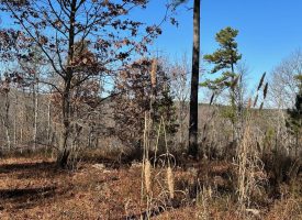 16.08+/-acres Wooded property with views.