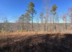 16.08+/-acres Wooded property with views.