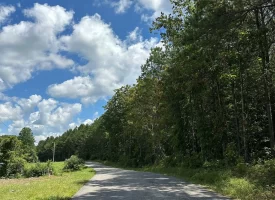 SOLD!! 15.85+/- acres partially wooded acres located atop of the Cumberland Plateau.