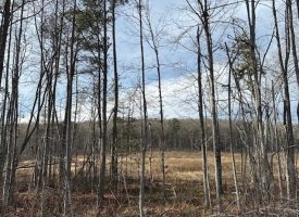 15.85+/- acres partially wooded acres located atop of the Cumberland Plateau.