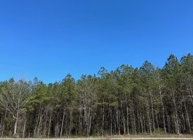15.85+/- acres partially wooded acres located atop of the Cumberland Plateau.