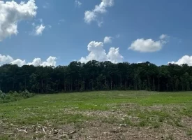 SOLD!! 15.85+/- acres partially wooded acres located atop of the Cumberland Plateau.