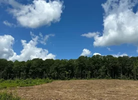 SOLD!! 15.85+/- acres partially wooded acres located atop of the Cumberland Plateau.