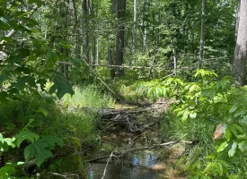 SOLD!! 15.85+/- acres partially wooded acres located atop of the Cumberland Plateau.