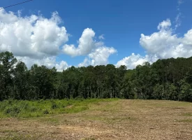 SOLD!! 15.85+/- acres partially wooded acres located atop of the Cumberland Plateau.