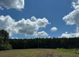 SOLD!! 15.85+/- acres partially wooded acres located atop of the Cumberland Plateau.