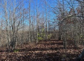 18.27+/-acres Wooded property with views Near South Pittsburg TN
