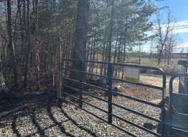 31+/- prime acres with complete turnkey, off-grid homestead ready for new owners