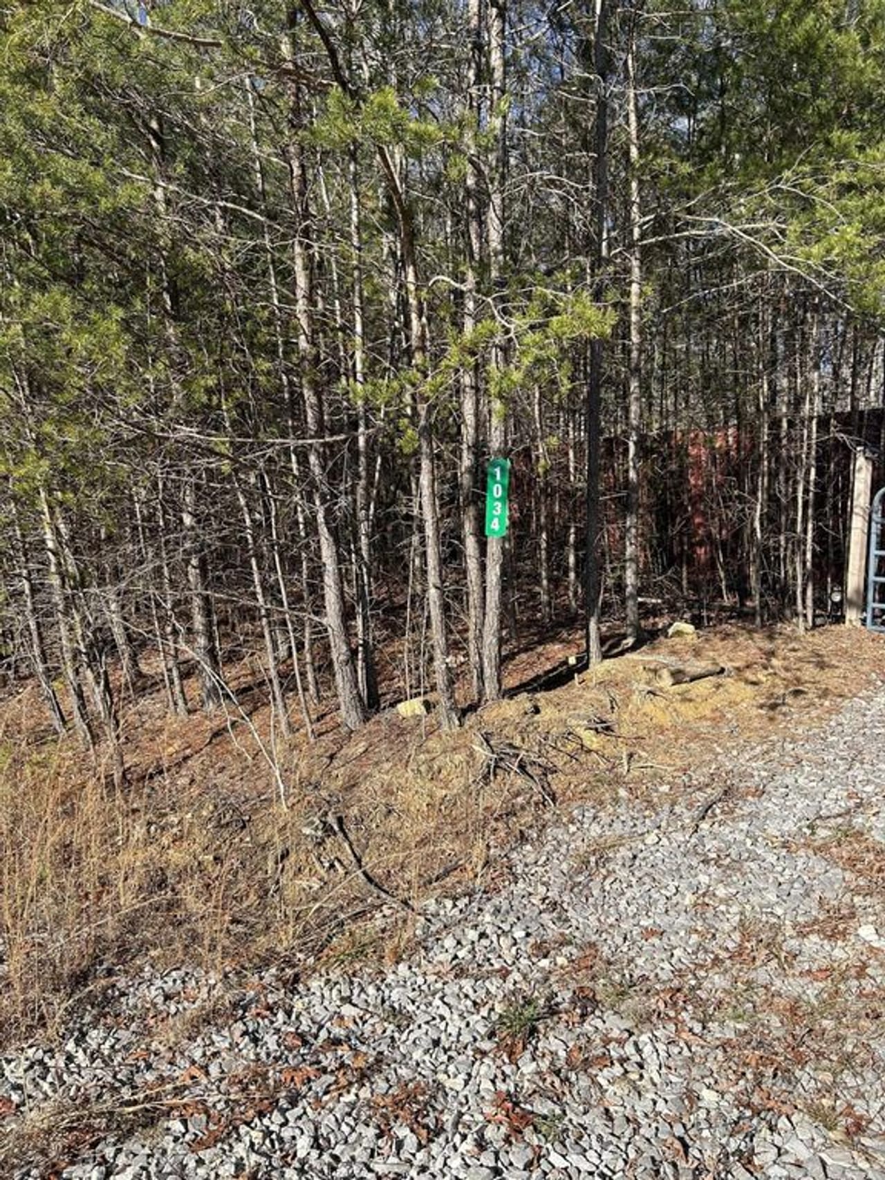 32+/ prime acres with complete turnkey, offgrid homestead ready for