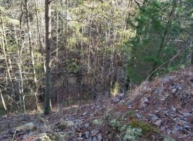 65+/- acres of great recreational and hunting property