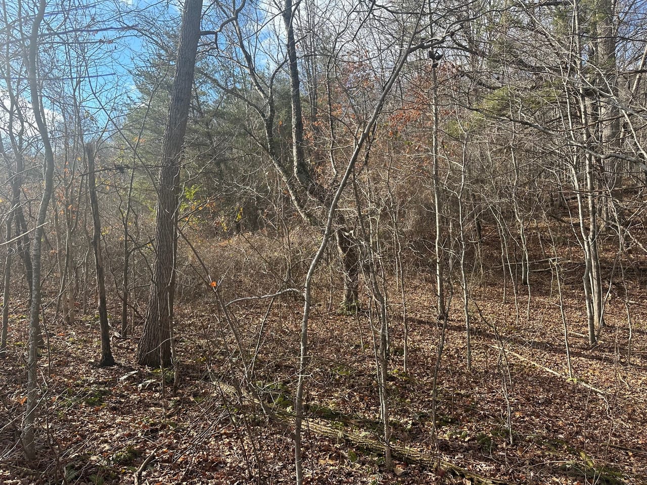 SOLD!! 18+/acres Unrestricted property on the Cumberland Plateau