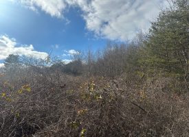 18+/-acres Unrestricted property on the Cumberland Plateau