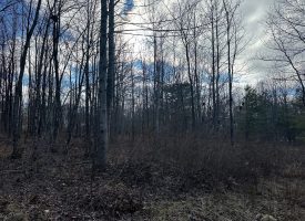5.00+/-acres Unrestricted property located on the Cumberland Plateau.