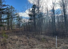 5.00+/-acres Unrestricted property located on the Cumberland Plateau.