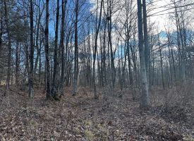 5.00+/-acres Unrestricted property located on the Cumberland Plateau.