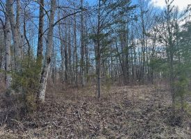 5.00+/-acres Unrestricted property located on the Cumberland Plateau.