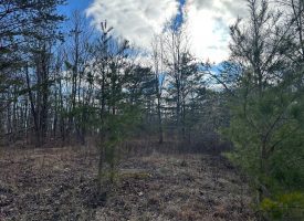 5.00+/-acres Unrestricted property located on the Cumberland Plateau.