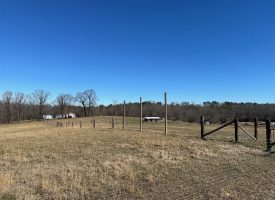 Come view this all-brick rancher nestled on 50.98+/-acres.