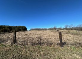 Come view this all-brick rancher nestled on 50.98+/-acres.