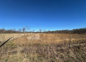 Come view this all-brick rancher nestled on 50.98+/-acres.