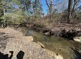 Come view this all-brick rancher nestled on 50.98+/-acres.