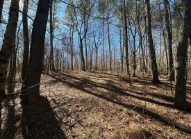 Come view this all-brick rancher nestled on 50.98+/-acres.