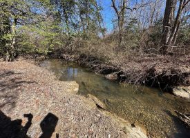 Come view this all-brick rancher nestled on 50.98+/-acres.