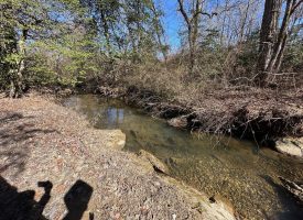 Come view this all-brick rancher nestled on 50.98+/-acres.