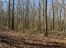 SOLD!! 7.66+/-acres Beautiful unrestricted wooded property