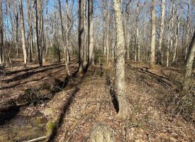 7.66+/-acres Beautiful unrestricted wooded property