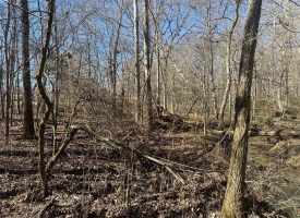 3.25+/-acres Beautiful unrestricted wooded property with a creek