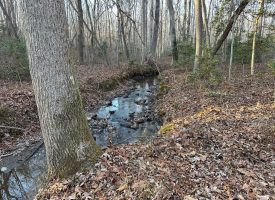 SOLD!! 8.21+/-acres Beautiful unrestricted wooded property with a creek