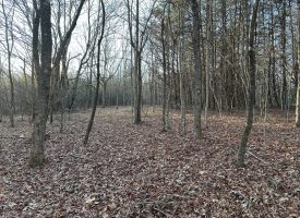 8.21+/-acres Beautiful unrestricted wooded property with a creek