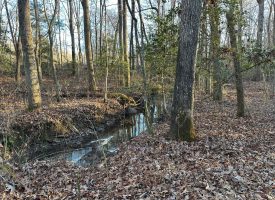 8.21+/-acres Beautiful unrestricted wooded property with a creek