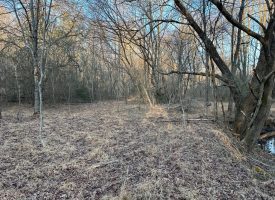 SOLD!! 9.12+/-acres Beautiful unrestricted wooded property with creek