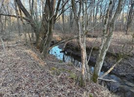 9.12+/-acres Beautiful unrestricted wooded property with creek