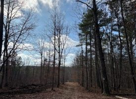 278.09+/-acres Set up and ready to live, play, explore and hunt.