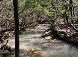 9.6+/- acres with year-round creek